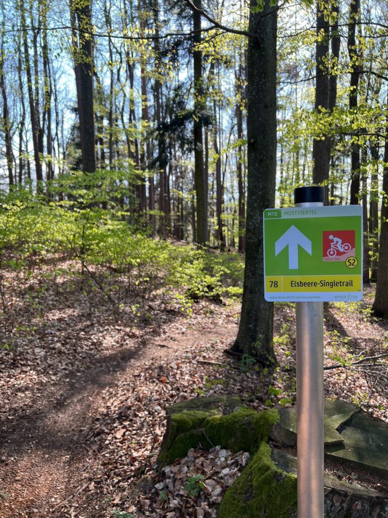 Im Vordergrund sieht man ein Schild mit Informationen zum Elsbeere Singletrail, im Hintergrund sieht man den Beginn des Trails in einem Mischwald im Sonnenschein.