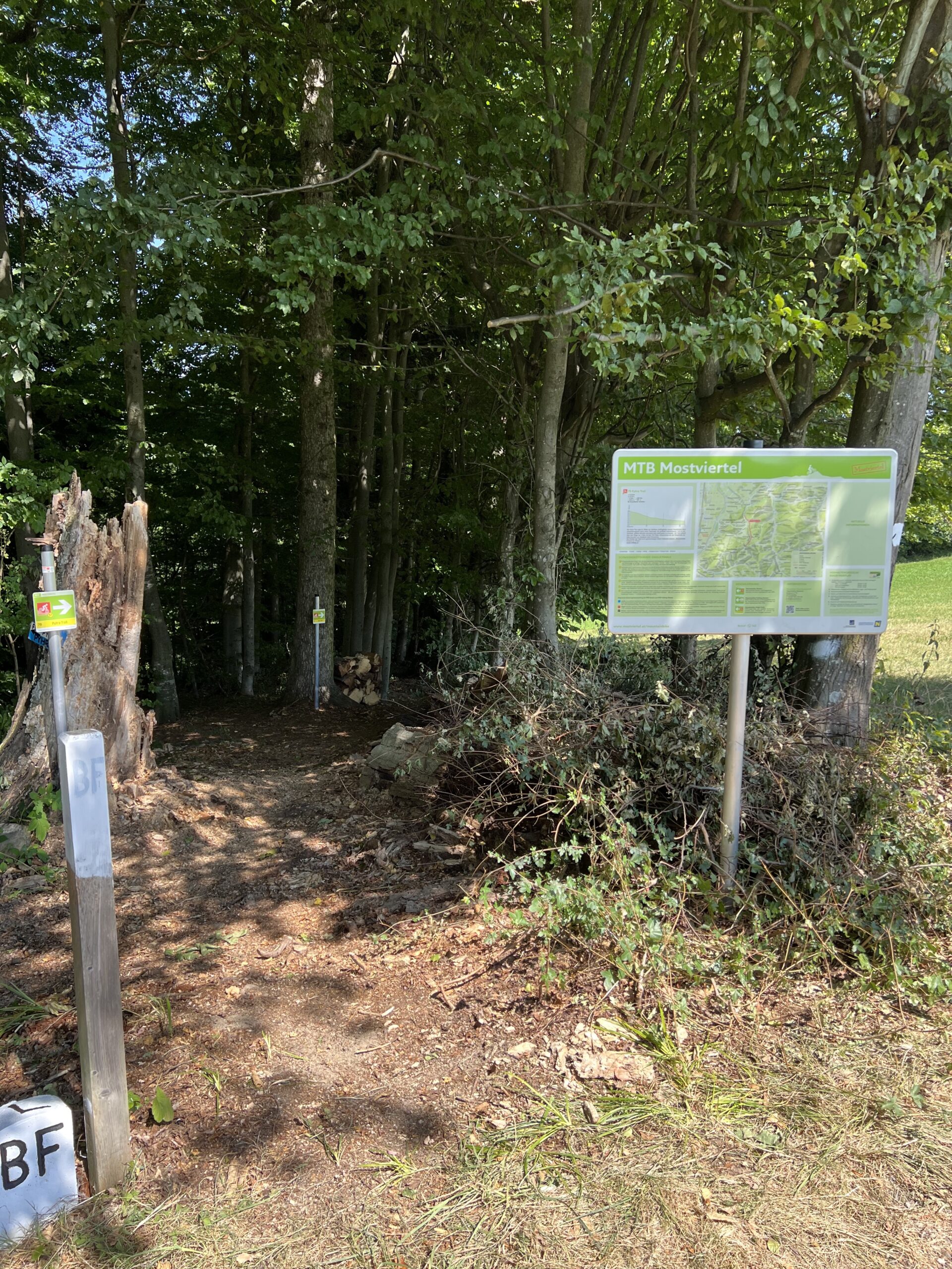 Im Vordergrund sieht man ein Schild mit Informationen zum Pyhra Trail, im Hintergrund sieht man den Beginn des Trails in einem Mischwald im Sonnenschein.