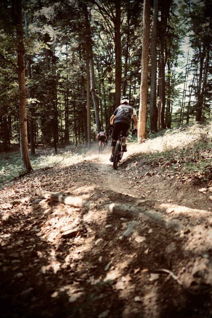 Man sieht zwei mountainbikende Personen von hinten, sie fahren von der Kamera weg.